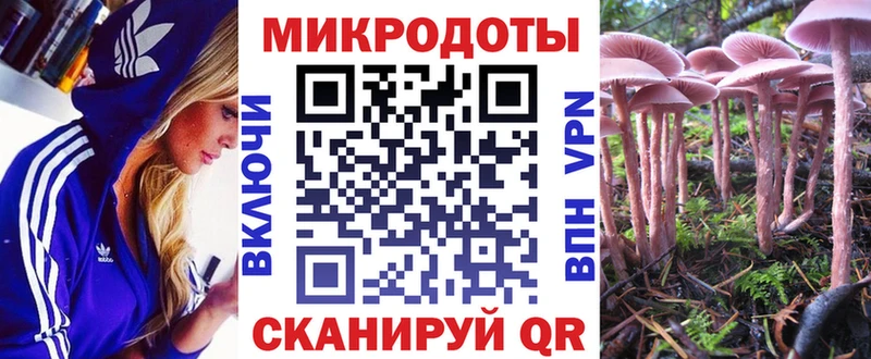Псилоцибиновые грибы ЛСД купить цена Владивосток